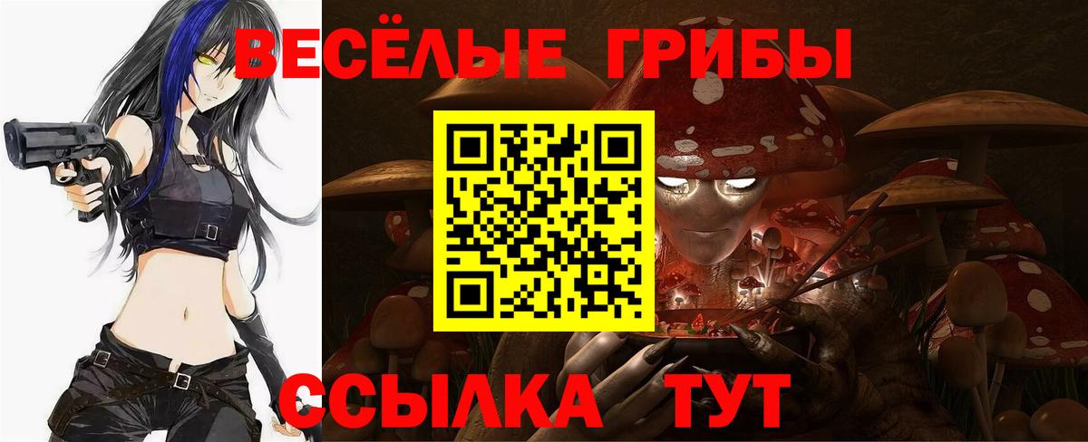 Псилоцибиновые грибы Psilocybine cubensis  Псилоцибиновые грибы ЛСД  Вход с VPN  Ярцево 